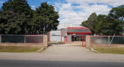 Puertas pivotantes – 5