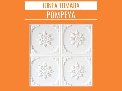 Placas modelo Cielorraso – 7